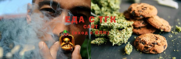 стаф Новозыбков