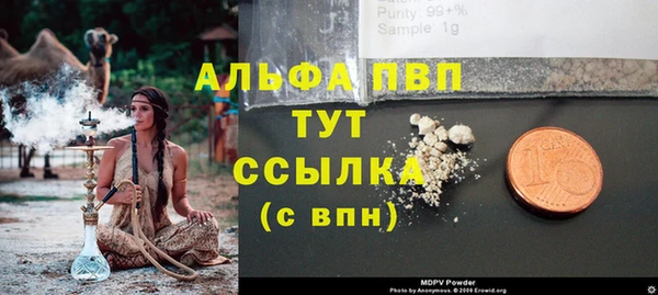 стаф Новозыбков