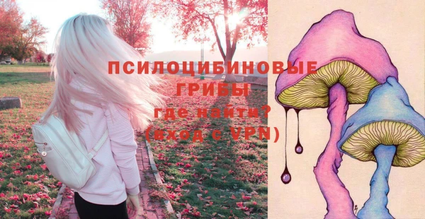 MDMA Новодвинск