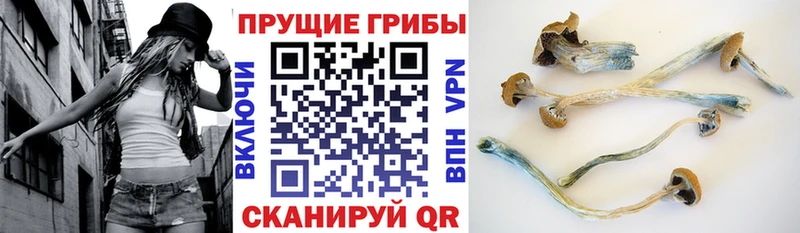 Псилоцибиновые грибы MAGIC MUSHROOMS  Купить где  Приволжский 